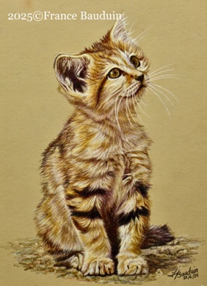 Happy Kitty - 9.5 hours
Sand Pastelmat
7" x 5"
Ref.: Anne Noël Happy Kitty - 9.5 hours
Sand Pastelmat
7" x 5"
Ref.: Anne Noël